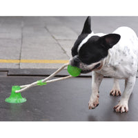 Thumbnail for Dog Chew Suction Cup Tug of War Toy Multifunction Interactive Pet