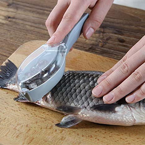 Slicier - Fish Scale Remover