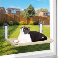 Thumbnail for Katzen-Fensterbarsch