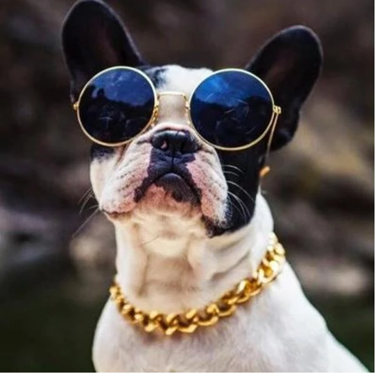 Cuban Link Thick Gold Chain Pets Safety Collar