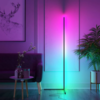 Thumbnail for LED Corner Floor Lamp, RGB+Warm Color Changing Ambient | Slicier