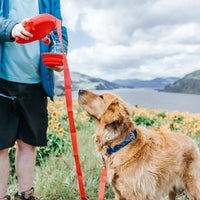Thumbnail for Dog Leash Heavy Duty 360°Tangle-Free Pet Walking Leashes Anti-Slip Handle 
