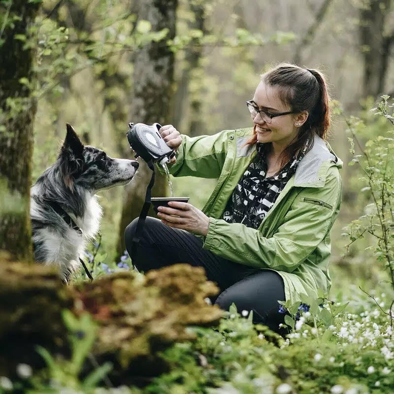 Dog Leash Heavy Duty 360°Tangle-Free Pet Walking Leashes Anti-Slip Handle 